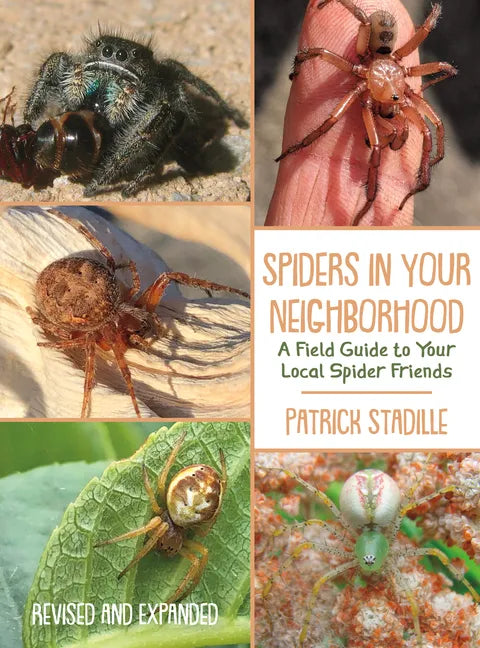Spiders in Your Neighborhood: A Field Guide to Your Local Spider Friends, Revised and Expanded - Paperback