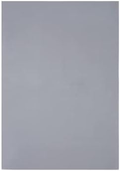 SWR Sanded Pastel Paper ,4K Grey Pastel Paper, Art Supplies ,Craft Paper,Thick &Heavy Sandpaper for Pastels (5 Sheets,Grey,21.49X15.4 in) (FENGGLANG-001)