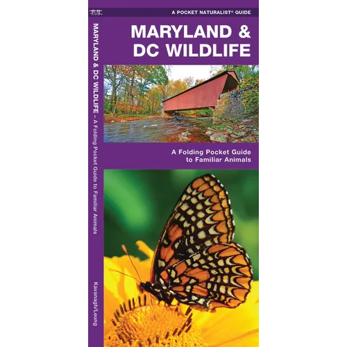 Maryland & DC Wildlife: A Folding Pocket Guide to Familiar Animals - Loose Leaf