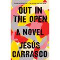 Out in the Open - Paperback