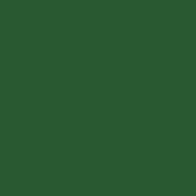 XINGO Cable Zip Ties (500 Pack), 40 Lbs Tensile Strength-Heavy Duty, Self-Locking Nylon Plastic Wire Ties in Assorted Sizes and Colors for indoor and outdoor (8 inch, Dark Green)