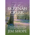 Tales From Skeenah Creek: A Civil War Historical Fiction Novel - Hardcover