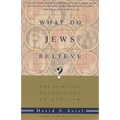 What Do Jews Believe?: The Spiritual Foundations of Judaism - Paperback
