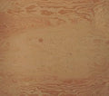 FIR Marine Plywood 1 X 24 X 24