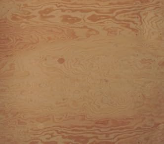 FIR Marine Plywood 1 X 24 X 24