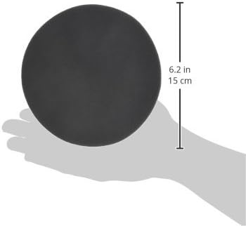 Festool 492370 Platin 2 S1000 Grit 6-Inch (150mm) Diameter Abrasive Sanding Discs, 15-Pack