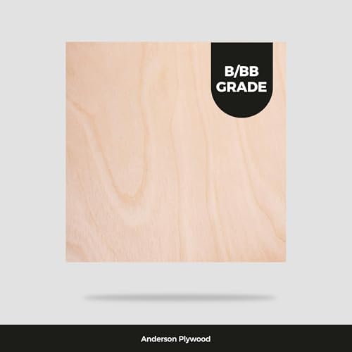 3MM 1/8" x 12" x 24" Baltic Birch Plywood – B/BB Grade (6pk) Perfect for Arts and Crafts, School Projects and DIY Projects, Drawing, Painting, Wood Engraving, Wood Burning and Laser Projects