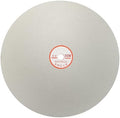 10 Inch x 1/2" Arbor Diamond Flat Lap Disc, 320 Grit