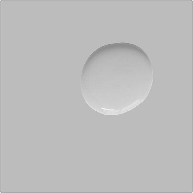 Annie Sloan Satin Paint (Chicago Grey, 25 Fl Oz/750 mL). Soft sheen for interior wood and metal. Self-leveling, all-in-one paint with no wax or lacquer required.