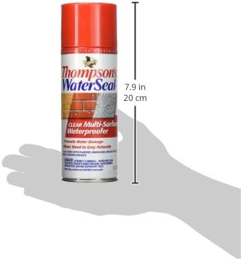 Thompson’s WaterSeal Multi-Surface Waterproofer Stain, Clear, 12 oz Aerosol Can
