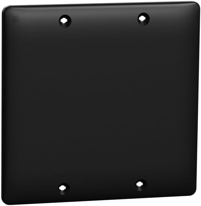 Square D by Schneider Electric X Series Wall Plate for Outlet and Light Switch, Standard Size Blank 2 Gang, Matte Black