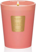 M&SENSE Tropical Spice Peach Soy Candle, 14.1oz, Summer Fruit Scent