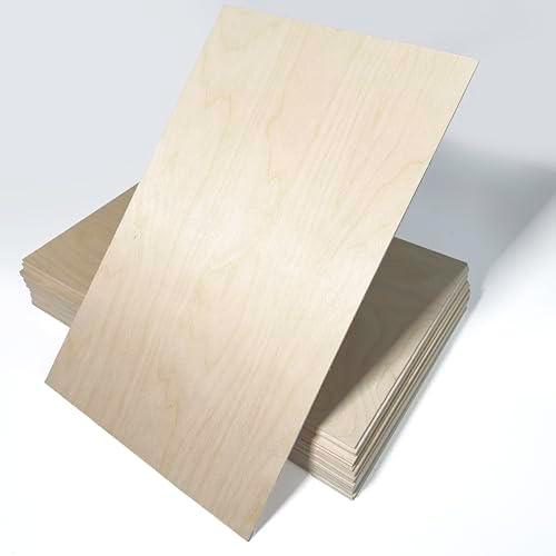 20 Pack | 3mm 1/8th inch Premium Baltic Birch Plywood, 12” x 19”, Glowforge Ready, Hand Selected, Unfinished | Boxes of 10, 20, 50 and 100 | Laser Engraving, CNC, Scroll Saw, by Craft Closet
