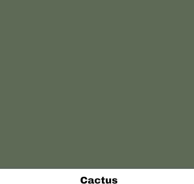 Dixie Belle Silk All-in-One Mineral Paint - Cactus (16oz) - Muted Green Water Based Built-In Primer + Topcoat for Wood + Metal - Durable Furniture Paint - Low Reflective Finish