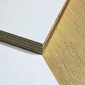 3/4" / 18mm White Melamine Faced Baltic Birch Plywood (24" x 48", White)