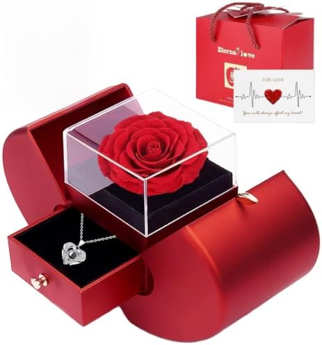 Preserved Real Rose with I love you Necklace 100 Languages, Gifts for Girlfriend, Women, Mom, Wife, Gifts Idea on Christmas, Valentine's Day, Mother's Day, Birthday, Anniversary, Thanksgiving