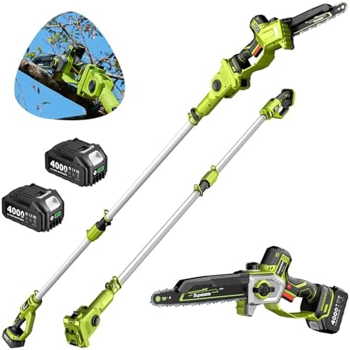10 Inch Electric Pole Saws for Tree Trimming, 1000W Brushless Pole Saw and Mini Chainsaw 2 in 1, 2*4000mAh Battery, Lightweight Tree Saw with Extension Pole, 16Ft Max Reach Tree Trimmer Branch Cutter