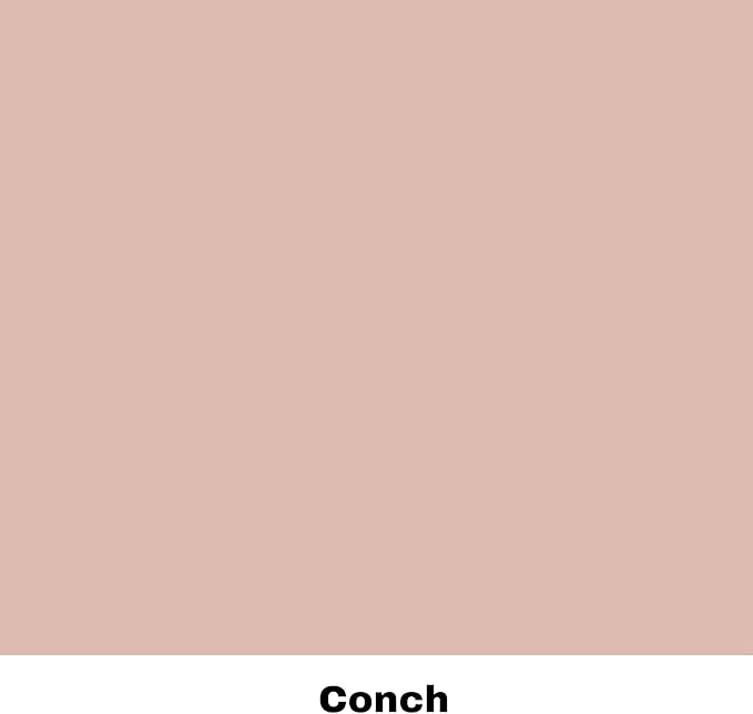 Dixie Belle Silk All-in-One Mineral Paint - Conch (4oz) - Pretty Pink Water Based Built-In Primer + Topcoat for Wood + Metal - Durable Furniture Paint - Low Reflective Finish