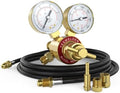 YESWELDER Argon CO2 Regulator with 8.2 ft Hose 0-4000 PSI Gauges Gas