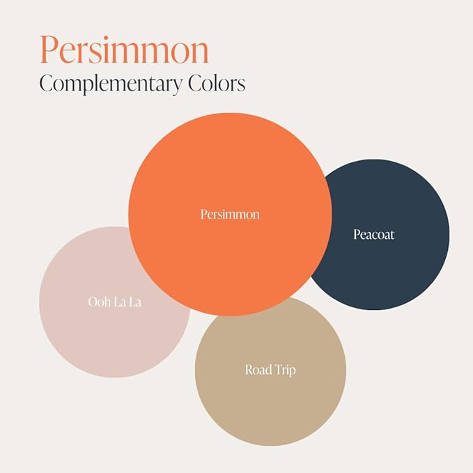 Country Chic All-in-One Chalk Paint for Furniture, Cabinets, Home Decor, Eco-Friendly, Matte Finish, Built-In Primer & Top Coat for Wood, Metal - Persimmon (Orange) - Pint 16 oz (475 ml)