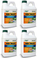 American Hydro Systems RR1 Rid O' Rust 2X Concentration Stain Preventer, 1/2 Gallon Bottle, Pack of 4