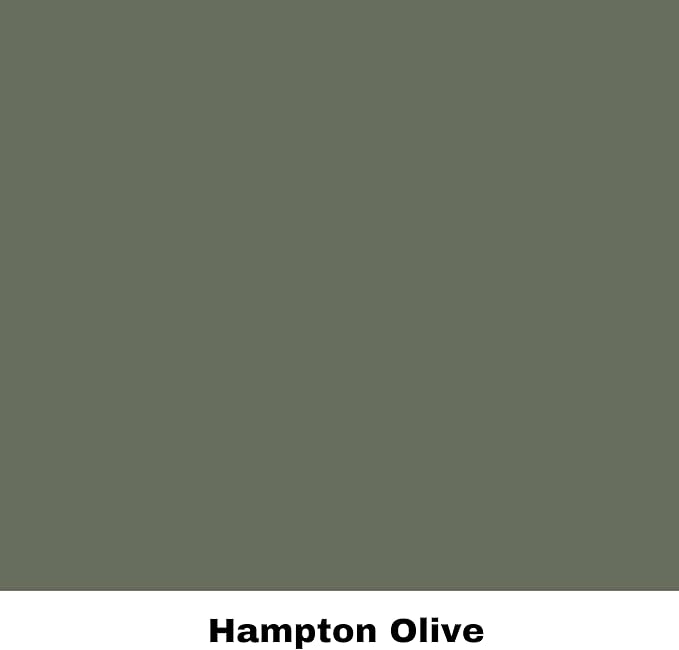 Dixie Belle Silk All-in-One Mineral Paint - Hampton Olive (4oz) - Olive Green Water Based Built-In Primer + Topcoat for Wood + Metal - Durable Furniture Paint - Low Reflective Finish
