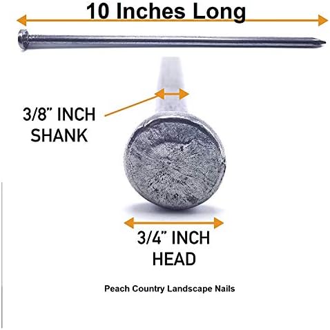 Peach Country Outdoor Heavy Duty (50 Count) - Round Metal Landscape & Paver Edging Anchoring Stake, 10-Inch Length - Bright Spike Timber Nail, Tent Spikes, Camping, Trapping, Landscape, (50)