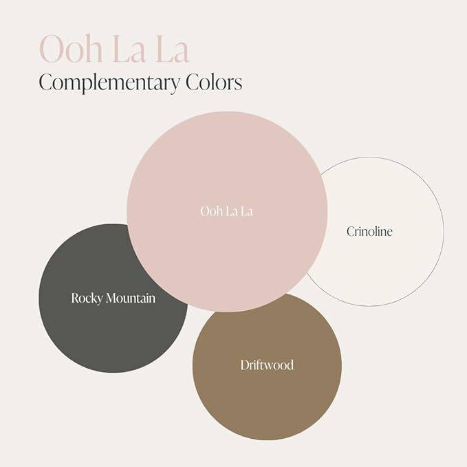 Country Chic All-in-One Chalk Paint for Furniture, Cabinets, Home Decor, Eco-Friendly, Matte Finish, Built-In Primer & Top Coat for Wood, Metal - Ooh La La (Light Pink) - 4 oz (118 ml)