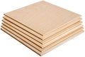 3MM 1/8" x 12" x 12" Baltic Birch Plywood – B/BB Grade (6pk) Perfect for Arts and Crafts, School Projects and DIY Projects, Drawing, Painting, Wood Engraving, Wood Burning and Laser Projects
