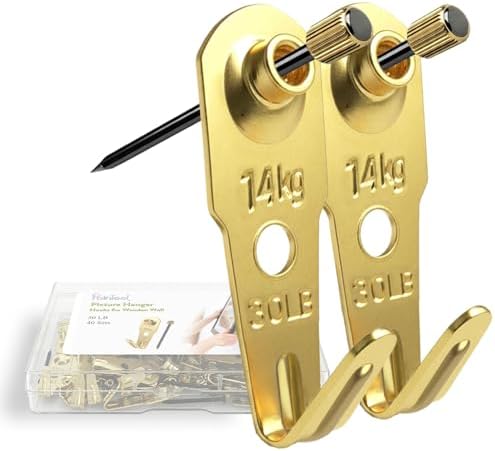 Picture Hangers, Extra Thick, 30 lb, for Decorative Drywall & Plaster Walls - Small Nails for Painting, Frame Hooks to Hang for Hanging, 40 pcs, Gold