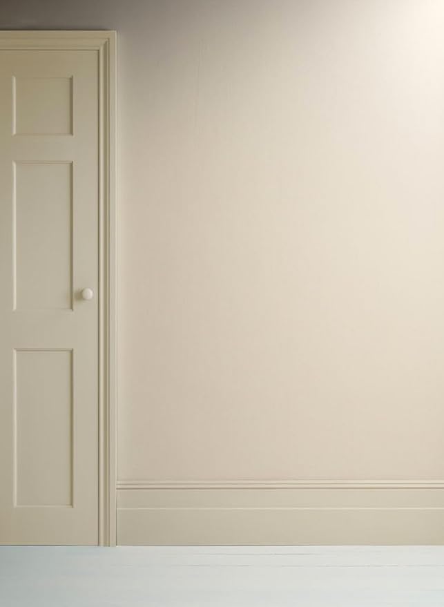 Annie Sloan Satin Paint (Canvas, 25 Fl Oz/750 mL). Soft sheen for interior wood and metal. Self-leveling, all-in-one paint with no wax or lacquer required.