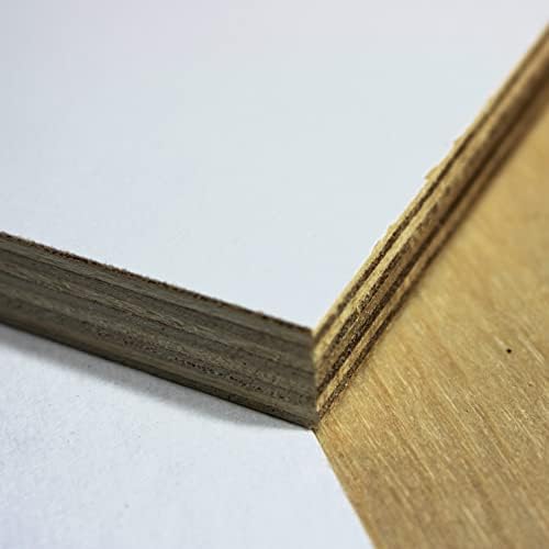 3/4" / 18mm White Melamine Faced Baltic Birch Plywood (24" x 24", White)