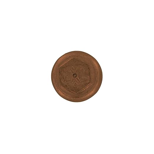 Fasteners Plus ST Fastening ZXL Woodbinder Metal-to-Wood #10 x 1-1/2" Brown Screws with EPDM Rubber Washer, 250-Count - Designed for Metal Roofing and Siding Panels