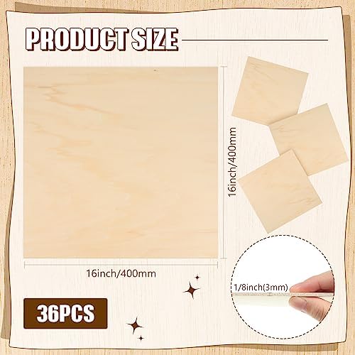Riakrum Basswood Sheets Plywood Board Unfinished Wood Boards for Crafts for DIY Laser Projects Architectural Mini House Building Hobby Model Making(16 x 16 x 1/8 Inch,36)