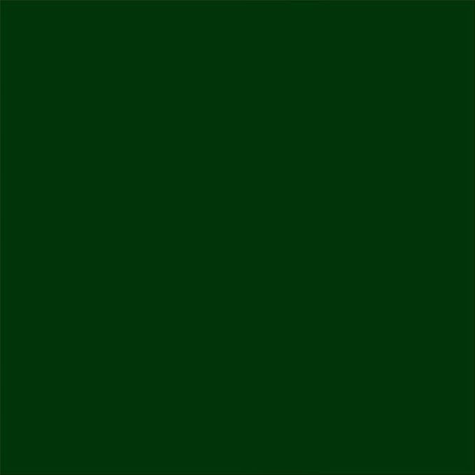 Rust-Oleum 249853 Painter's Touch 2X Ultra Cover Spray Paint, 12 oz, Semi-Gloss Hunter Green (Pack of 2)
