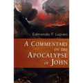A Commentary on the Apocalypse of John - Paperback