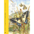 Insectopia: The Wonderful World of Insects - Hardcover