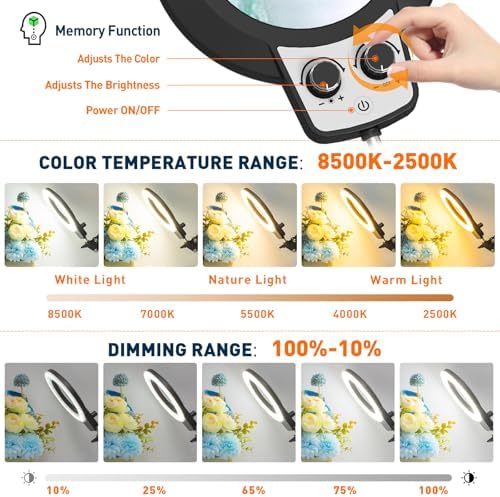 Magnifying Glass with Light and Stand, 30X 10X Soldering Magnifier
