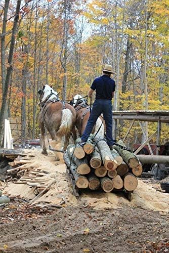 Woodchucks Wood 3/4 Inch x 2 Inch x 16 Inch Solid Red Cedar Lumber Boards as Cutting Board Wood (6 Pack)
