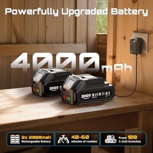 SEESII 8 Inch & 6 Inch Mini Chainsaw Cordless with 2 Batteries & Auto Oiler