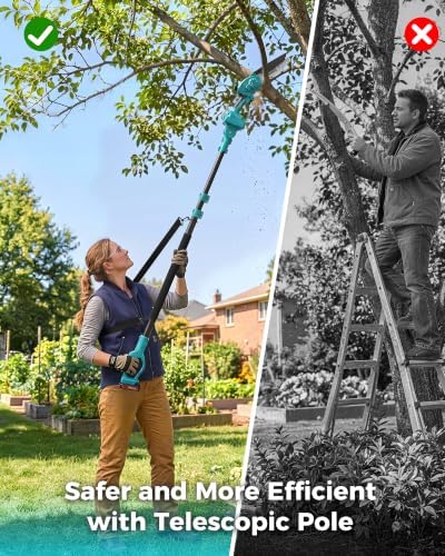 Pole Saws for Tree Trimming, 6" Brushless Mini Chainsaw with Extension Pole