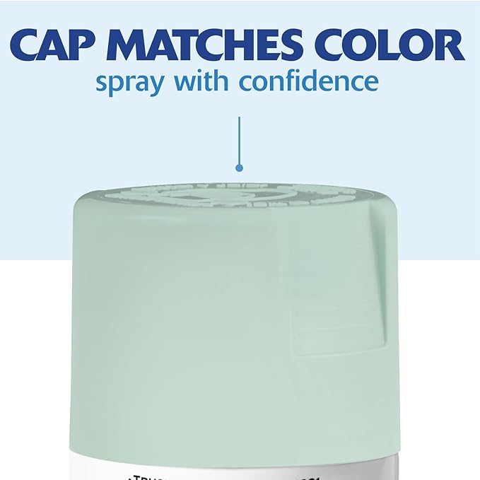 Rust-Oleum 393571 Painter's Touch 2X Ultra Cover Spray Paint, 12 oz, Satin Renew