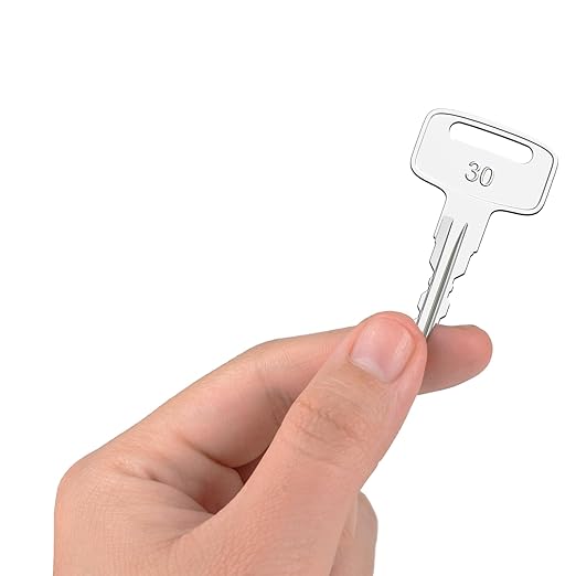 Heavy Equipment Ignition Keys, 10 Pcs 160431 Ignition Keys Fit Wacker Neuson Trench Roller RT56-SC, RT82-SC, RT82-SC2, RTX-SC, RD7H-ES1