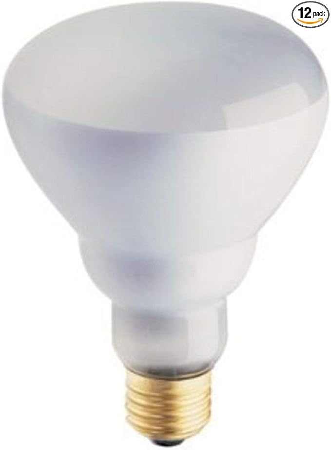 Philips Phillips Soft White 65-Watt BR30 Indoor Flood Light Bulb, (12 Pack)