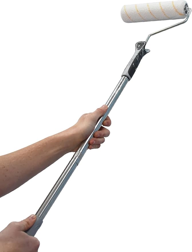 ROLLINGDOG Paint Roller Kit with Extension Pole - 9 Inch Paint Roller with Tray, 4Inch Mini Rollers,Stainless Steel Extension Pole (3ft)