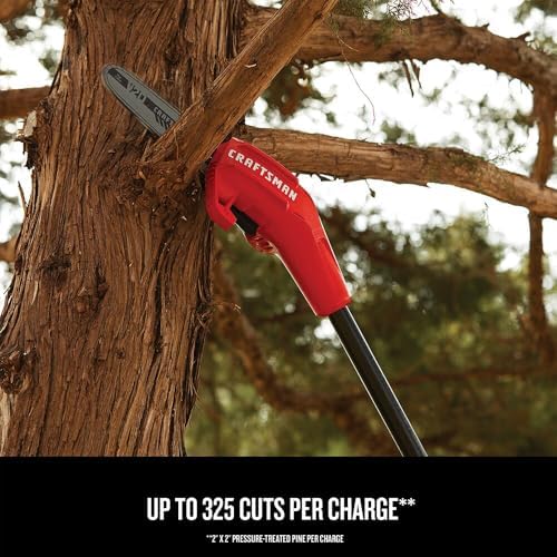CRAFTSMAN V20 Cordless Pole Saw, 14-Foot, Battery and Charger Included, Pole Saws for Tree Trimming, Up to 325 Cuts per Charge, 4.0Ah, Electric Tree Trimmer (CMCCSP20M1)