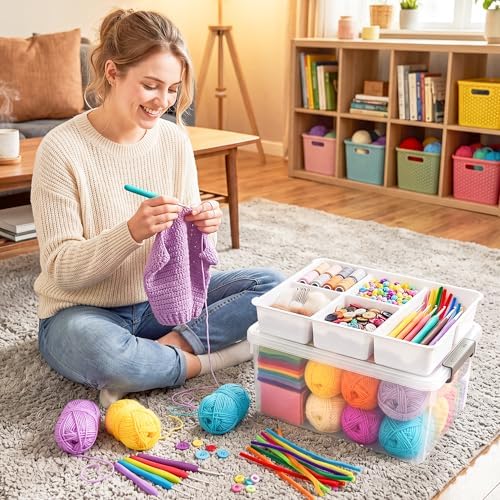Citylife 17QT 2Packs Clear Craft Organizers and Storage Box with Tray