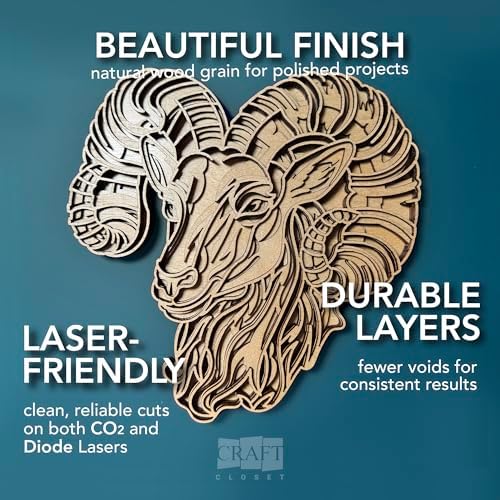 10 Pack | 3mm 1/8th inch Premium Baltic Birch Plywood, 12” x 19”, Glowforge Ready, Hand Selected Unfinished | Boxes of 10, 20, 50 and 100 | Laser Engraving, CNC, Scroll Saw, by Craft Closet
