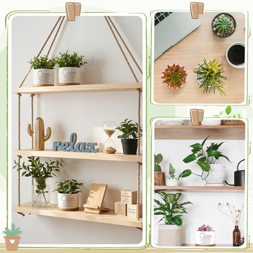 12 Pcs Chaos Coordinator Gifts Succulent Pots Bulk for Christmas
