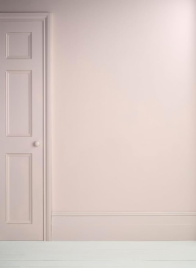 Annie Sloan Satin Paint (Pointe Silk, 25 Fl Oz /750 mL). Soft sheen for interior wood and metal. Self-leveling, all-in-one paint with no wax or lacquer required.